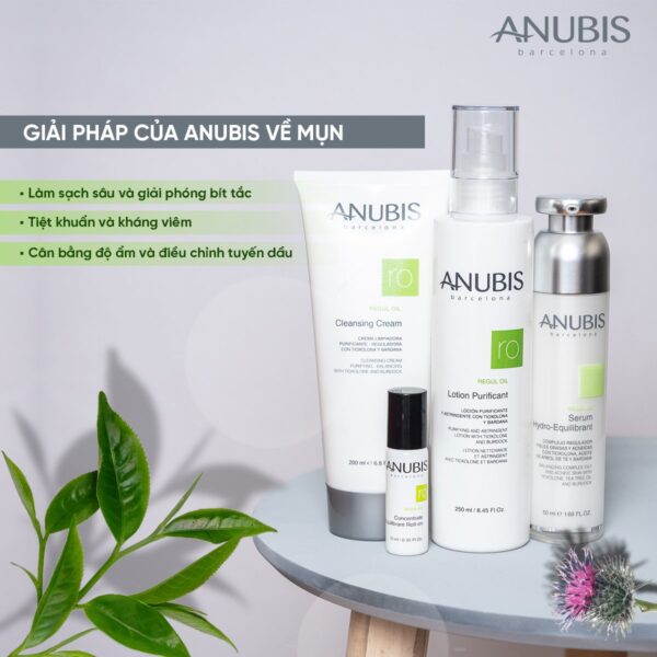 I Am Beauty - Sữa rửa mặt Regul Oil Cleansing Cream